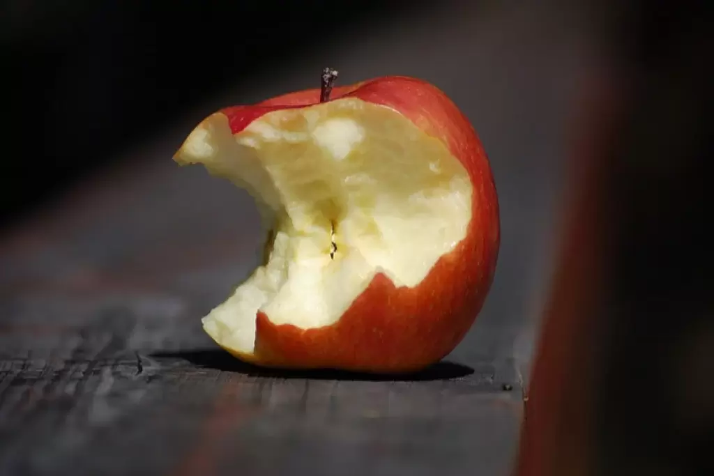 Дискриминация действует: выручка Apple в РФ упала в 23 раза