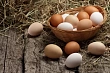 Резкое подорожание куриных яиц и рост ключевой ставки Банка России: есть ли связь?